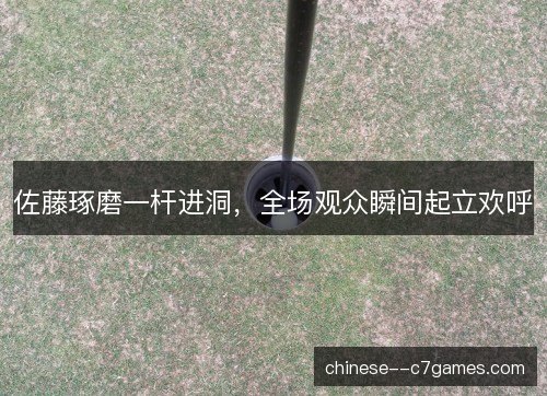佐藤琢磨一杆进洞，全场观众瞬间起立欢呼